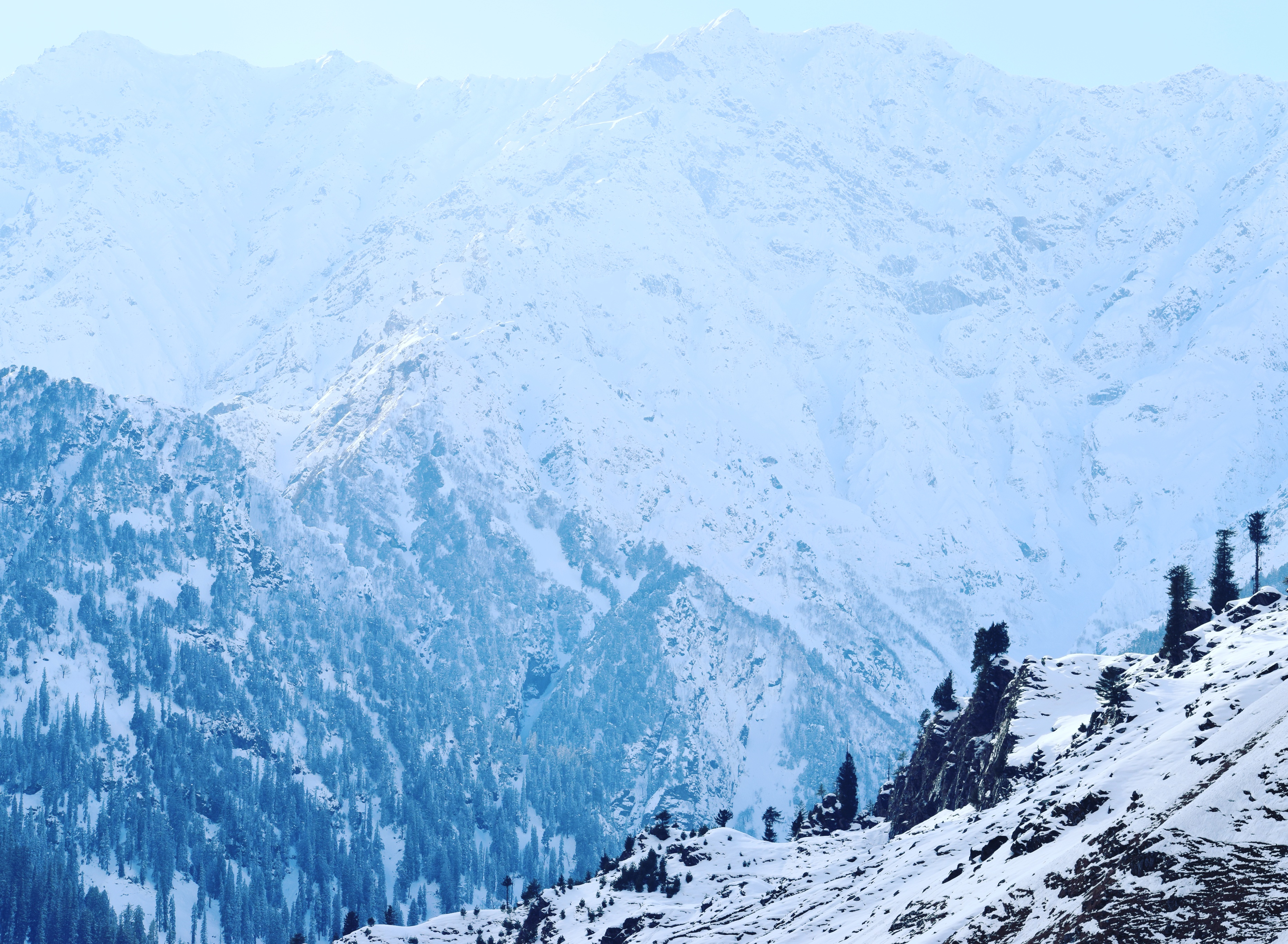 Manali Snow