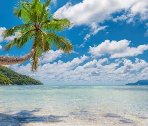 3 Night 4 Days Goa Trip